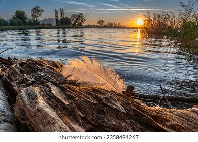 Sunset with a feather on the shore of Lake Constance in the Rhine Valley, Vorarlberg, Austria. The sun is reflected in the water, framed by reeds and trees. Evening red, with red, orange clouds. Grief - Powered by Shutterstock