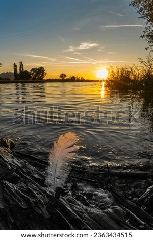 Sunset with a feather on the shore of lake Constance in the Rhine valley, Vorarlberg, Austria. Foto colored and blackwhite. sun is reflected in the water, framed by reeds and trees. life after death.