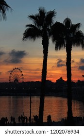 Sunset In Málaga With The Ferris Wheel And Palm Trees