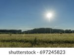 Sunset in the field