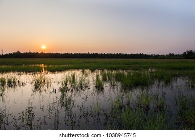 Sunset and field