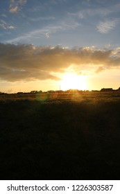 Sunset in Field 