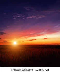 Sunset In The Field