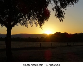 Sunset in the field.