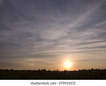 Sunset in the field