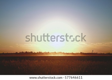 Similar – Image, Stock Photo soak up the sun