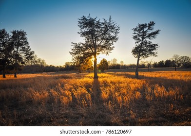 Sunset Field Of Trees - Appomattox Court House National Historical Park