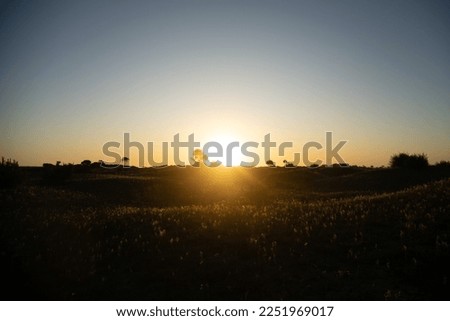 Similar – View to the sun Sunset