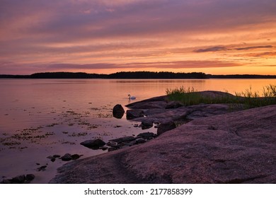 Sunset In Finnish Archipelago With Swan