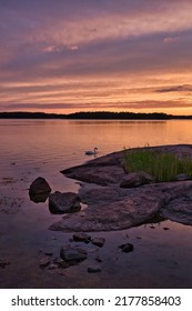 Sunset In Finnish Archipelago With Swan