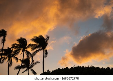 Sunset And Firey Clouds With Trees In Bottom Left - Introduction Slide - Paradise