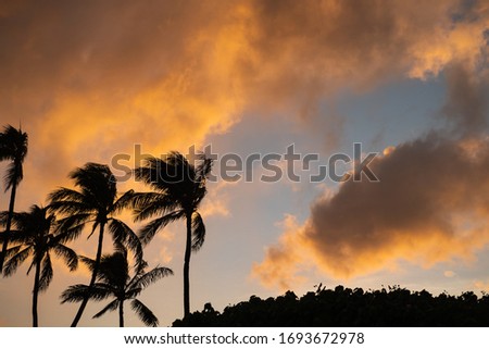 Sunset and firey clouds with trees in bottom left - Introduction slide - Paradise