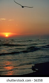 Sunset Flight Panama City Beach Fl.