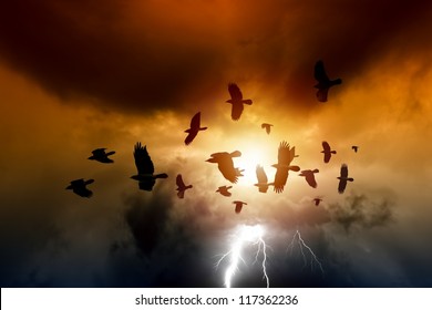 Sunset, Flock Of Flying Ravens, Crows In Dark Sky, Bright Lightning