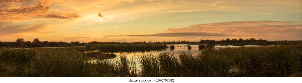 Sunset In The Florida Everglades Panorama