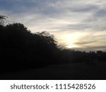SUNSET IN THE FOREST