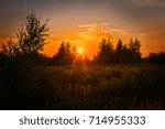Sunset in the forest