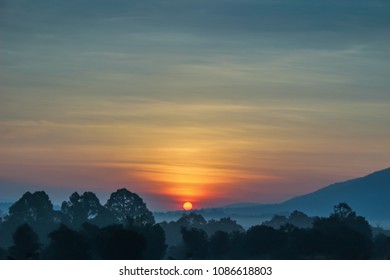 Sunset in the forest