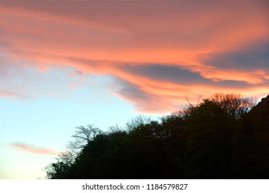 sunset and forest