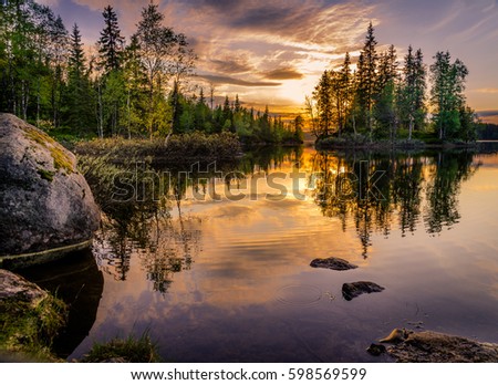 Sunset in the forest
