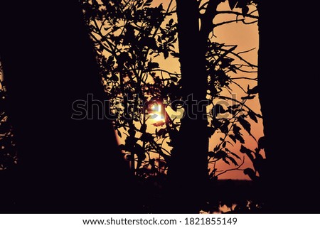 Similar – Image, Stock Photo silhouettes before glowing sun