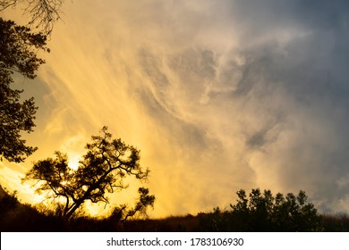 Sunset in the forest with orange and blue