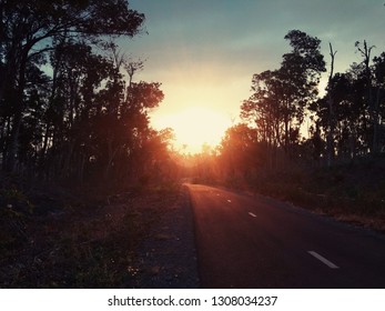 sunset forest road