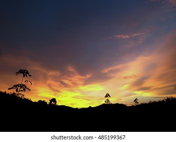 sunset in forest and silhouette