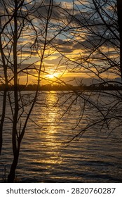 Sunset framed by bare tree branches over a shimmering lake or river
