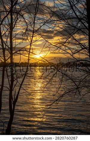 Sunset framed by bare tree branches over a shimmering lake or river