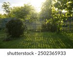 Sunset in the garden with sun rays filtering through the leaves and casting long shadows on the green grass. Garden at sunset with long shadows from trees and bushes against a blue fence