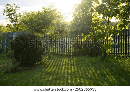 Similar – Image, Stock Photo Shadow of a garden trampoline on the green field