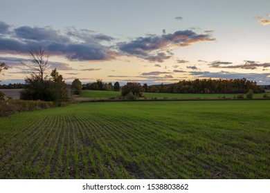 Sunset At Georgetown, Ontario, Canada