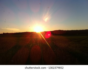 Sunset with gnats