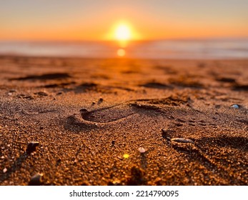 Sunset From Gold Beach Oregon