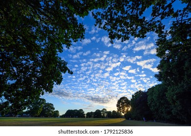 293 Oak tree sunset uk Images, Stock Photos & Vectors | Shutterstock