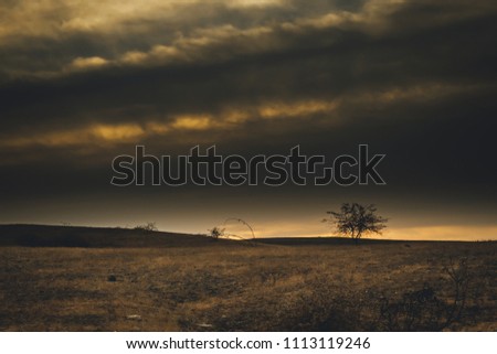 Similar – 700 X released to freedom|tree silhouette in foreground, red hot air balloon floating in evening sky