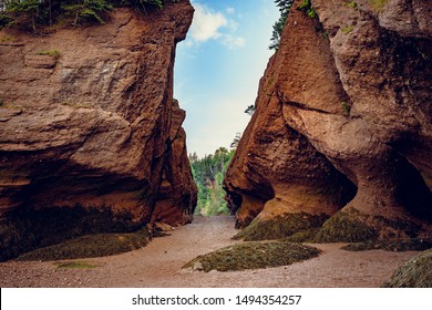 Hopewell Rocks Tide Chart 2017