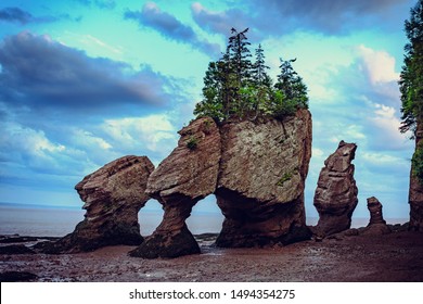 Sunset In Hopewell Rocks At Low Tide