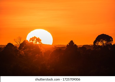 Sunset Horizon Wild Jungle Landscape. Sunset Borneo Tropical Rainforest Panorama. Orange Sunset Forest Landscape View At Sunset