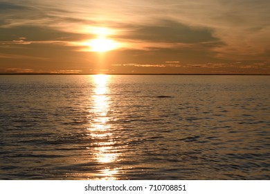 Sunset In The Hudson Bay In Churchill Canada