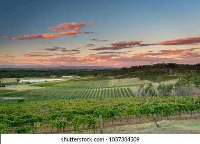 Sunset At The Hunter Valley Vineyards, NSW, Australia