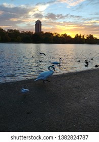 Sunset At Hyde Park In London