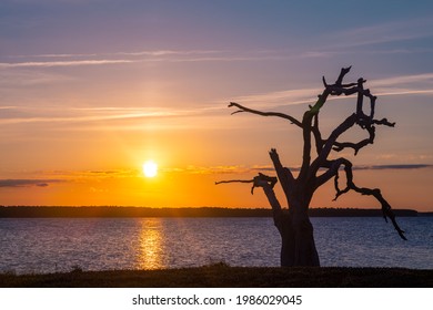 Sunset Images Around Jacksonville, NC