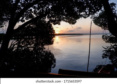 Sunset Into The Mangrove Forest! Watamu - Kenya, Africa