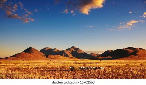 Sunset In Kalahari Desert