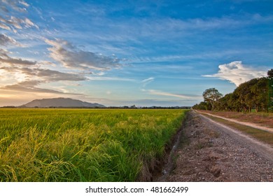 Sunset At Kampung Padang Jitra Kedah