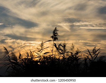 Sunset At Kiskunhalas, Hungary 