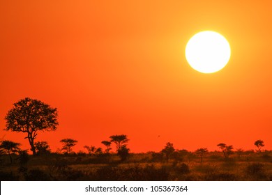 Sunset Kruger National Park