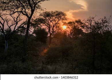 Sunset In The Kruger National Park